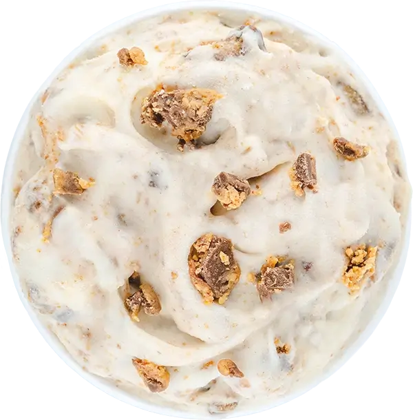 Creamy ice cream with crunchy chocolate chunks and peanut butter pieces in a bowl, top view.