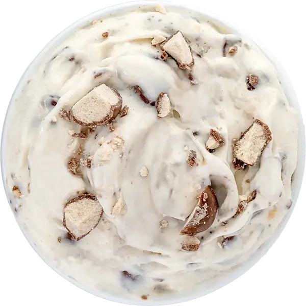 Creamy vanilla ice cream mixed with crunchy chocolate pieces, perfect dessert treat.