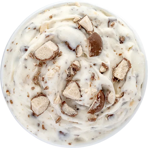 Creamy vanilla ice cream mixed with crunchy chocolate pieces, perfect dessert treat.